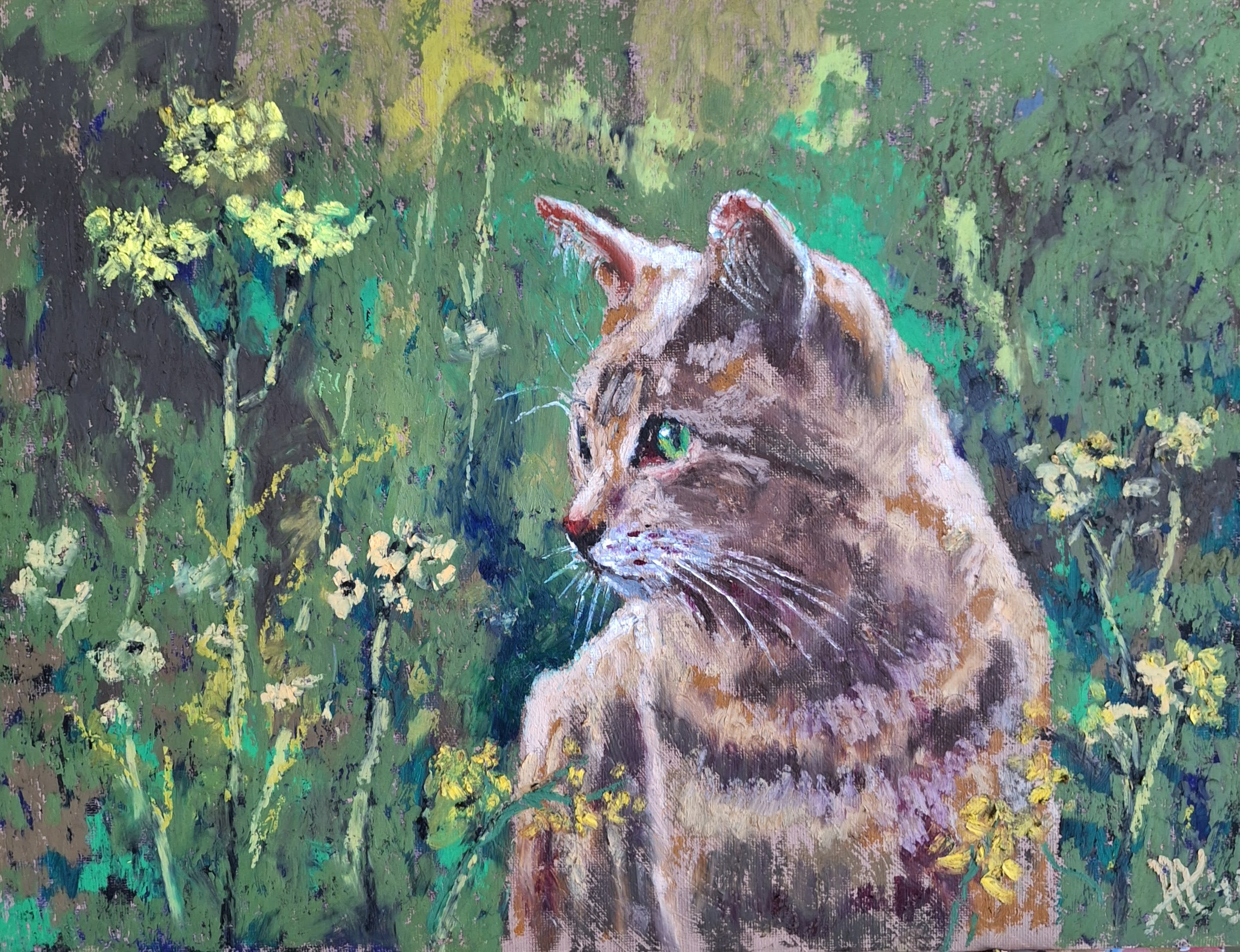 The Art of the Cat Portrait: Capturing a Soul That Refuses to Be Captured