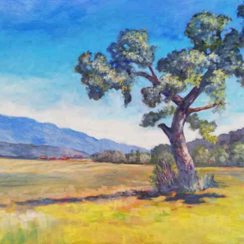 Baum