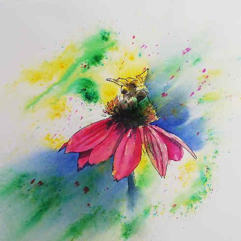 Rote Blume