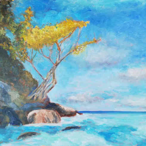 Cypress Baum