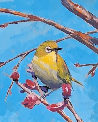 Gouache bird