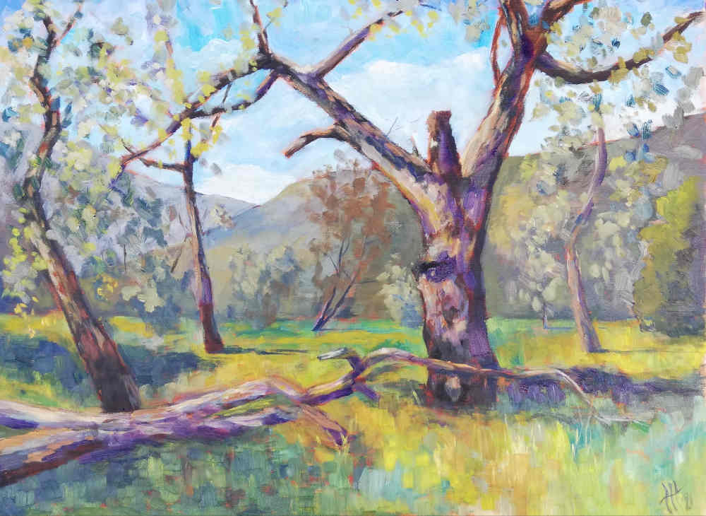 Alte Baum