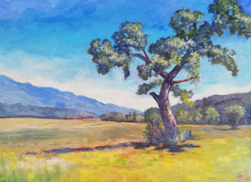 Baum