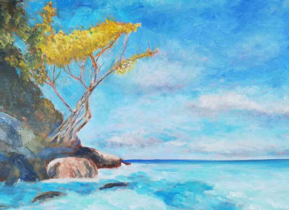 Cypress Baum
