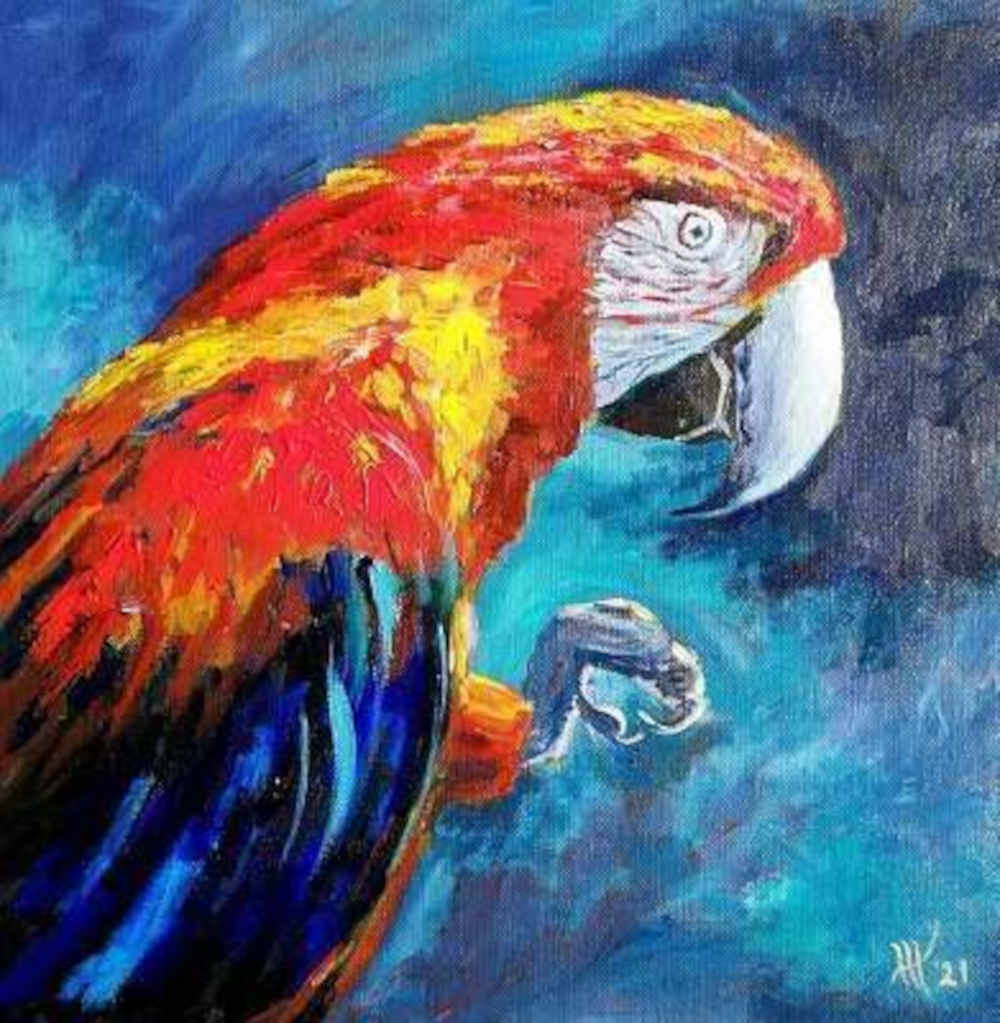 Amazon Macaw