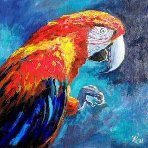 Amazon Macaw